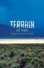 Terrain of Salt