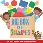 Big Box of Shapes