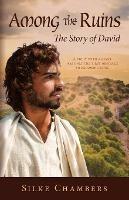 Among the Ruins: The Story of David