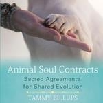 Animal Soul Contracts