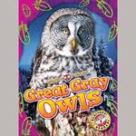 Great Gray Owls