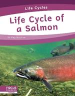 Life Cycles: Life Cycle of a Salmon