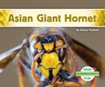 Incredible Insects: Asian Giant Hornet