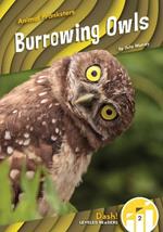 Animal Pranksters: Burrowing Owls