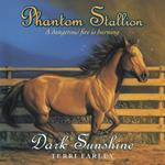 Phantom Stallion