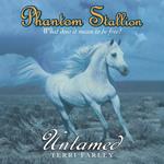 Phantom Stallion