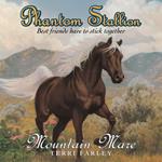 Phantom Stallion