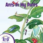Ants In My Pants