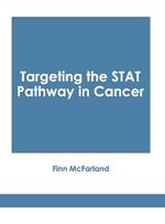 Targeting the Stat Pathway in Cancer