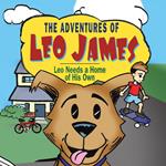 Adventures of Leo James, The