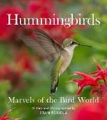 Hummingbirds: Marvels of the Bird World