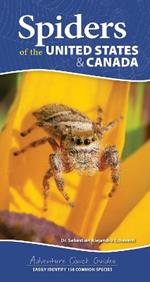 Spiders of the United States: A Guide to Common Species