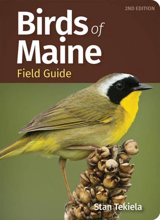 Birds of Maine Field Guide