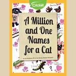 Million and One Names for a Cat, A