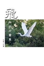 ??????(?????): The Flying Egret (Traditional Chinese Edition)