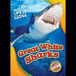 Great White Sharks