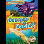 Octopus or Squid?