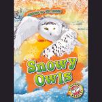 Snowy Owls