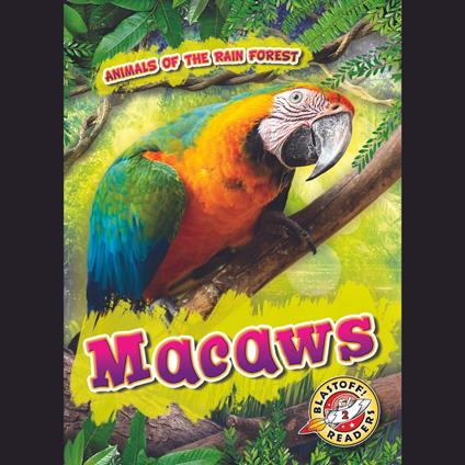 Macaws