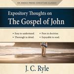 Expository Thoughts on the Gospel of John