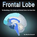 Frontal Lobe