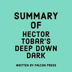 Summary of Héctor Tobar's Deep Down Dark