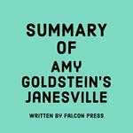 Summary of Amy Goldstein's Janesville