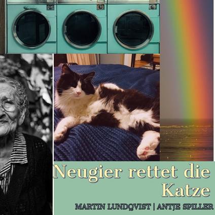 Neugier rettet die Katze