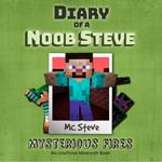 Diary Of A Noob Steve Book 1 - Mysterious Fires