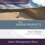 The Minor Prophets: An Expositional Commentary, Volume 2