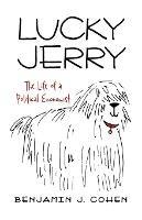 Lucky Jerry: The Life of a Political Economist