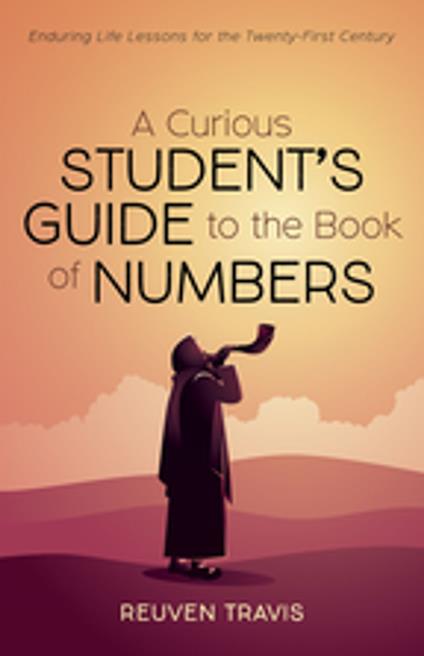 A Curious Student’s Guide to the Book of Numbers