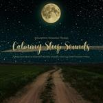 Calming Sleep Sounds - Ambient Relaxation Therapy - Calming Nature Sounds