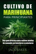 Cultivo De Marihuana Para Principiantes