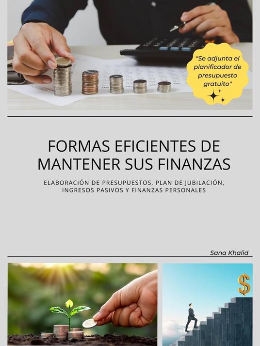 Formas eficientes de mantener sus finanzas