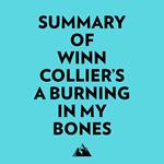 Summary of Winn Collier's A Burning in My Bones