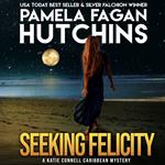 Seeking Felicity (A Katie Connell Texas-to-Caribbean Mystery)