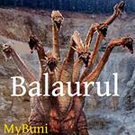 Balaurul