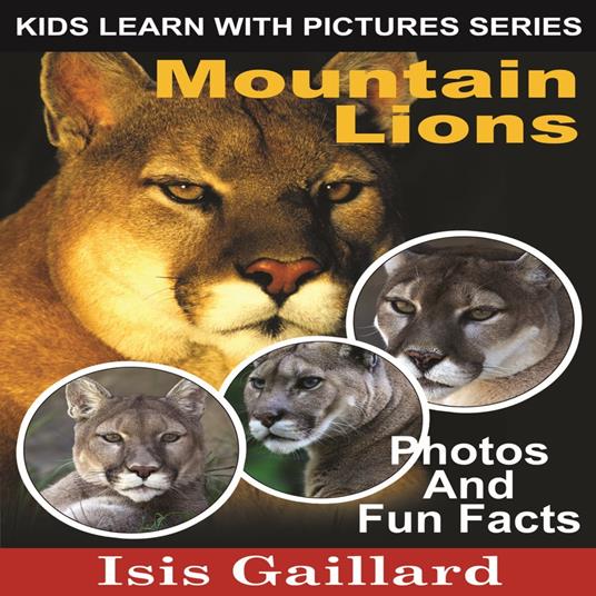 Mountain Lions