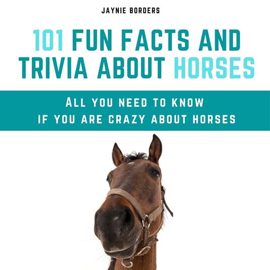 101 Fun Facts and Trivia About Horses