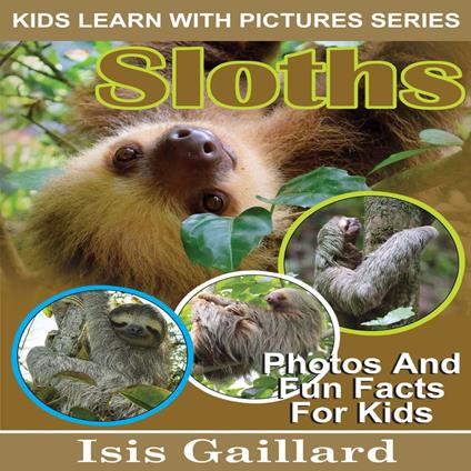 Sloths