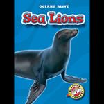 Sea Lions