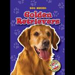 Golden Retrievers