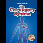 The Circulatory System