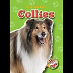 Collies