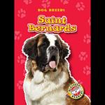 Saint Bernards