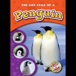 The Life Cycle of a Penguin