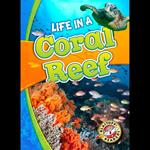 Life in a Coral Reef