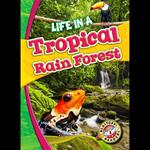 Life in a Tropical Rain Forest