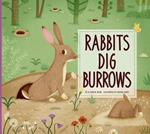 Rabbits Dig Burrows: Animal Builders